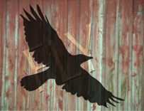 Crow shadow