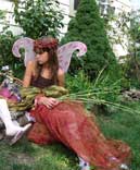 Phoebe faery original