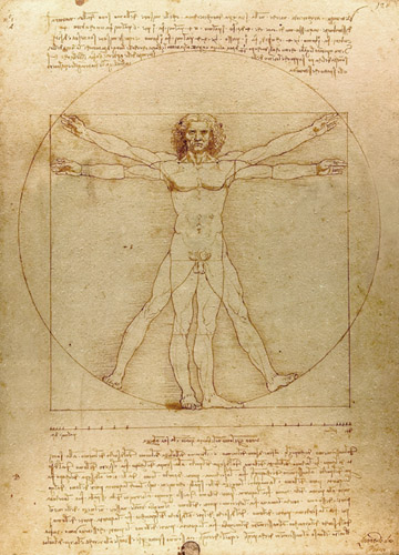 The Vitruvian Man